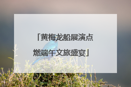 黄梅龙船展演点燃端午文旅盛宴