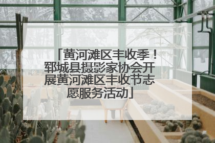 黄河滩区丰收季！郓城县摄影家协会开展黄河滩区丰收节志愿服务活动