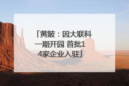 黄陂：因大联科一期开园 首批14家企业入驻