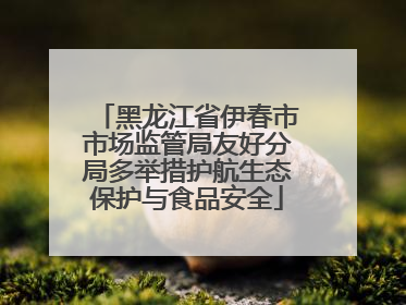 黑龙江省伊春市市场监管局友好分局多举措护航生态保护与食品安全