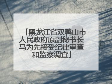 黑龙江省双鸭山市人民政府原副秘书长马为先接受纪律审查和监察调查