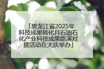 黑龙江省2025年科技成果转化月石油石化产业科技成果路演对接活动在大庆举办
