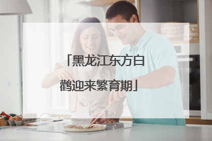 黑龙江东方白鹳迎来繁育期