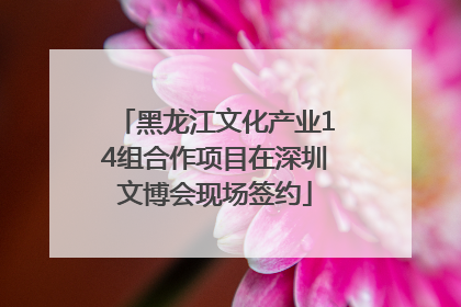 黑龙江文化产业14组合作项目在深圳文博会现场签约