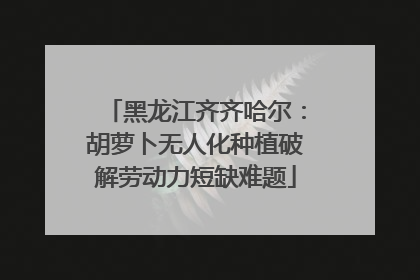 黑龙江齐齐哈尔：胡萝卜无人化种植破解劳动力短缺难题