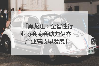 黑龙江：全省性行业协会商会助力伊春产业高质量发展