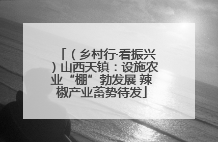 （乡村行·看振兴）山西天镇：设施农业“棚”勃发展 辣椒产业蓄势待发