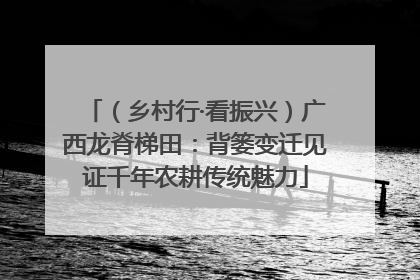 （乡村行·看振兴）广西龙脊梯田：背篓变迁见证千年农耕传统魅力
