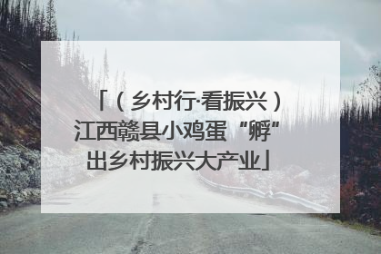 （乡村行·看振兴）江西赣县小鸡蛋“孵”出乡村振兴大产业