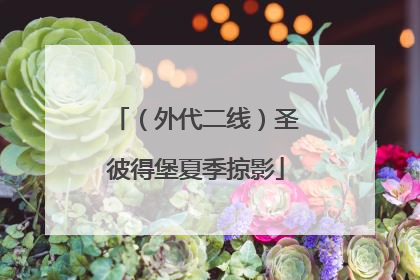 （外代二线）圣彼得堡夏季掠影