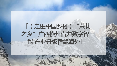（走进中国乡村）“茉莉之乡”广西横州借力数字智能 产业升级香飘海外