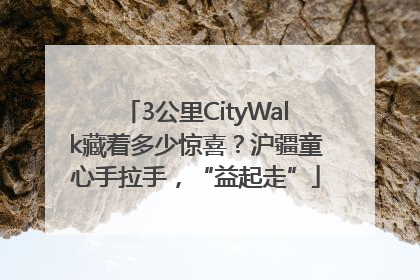 3公里CityWalk藏着多少惊喜？沪疆童心手拉手，“益起走”