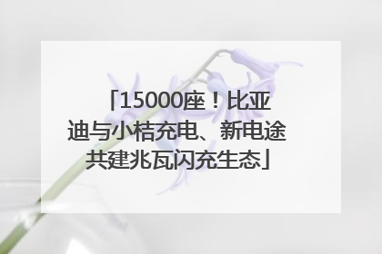 15000座！比亚迪与小桔充电、新电途共建兆瓦闪充生态