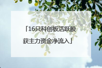 16只科创板活跃股获主力资金净流入