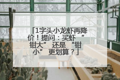 1字头小龙虾再降价！提问：买虾 “钳大” 还是 “钳小” 更划算？