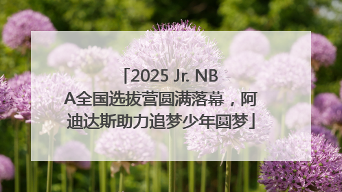 2025 Jr. NBA全国选拔营圆满落幕，阿迪达斯助力追梦少年圆梦