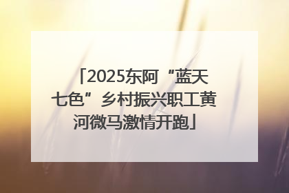 2025东阿“蓝天七色”乡村振兴职工黄河微马激情开跑