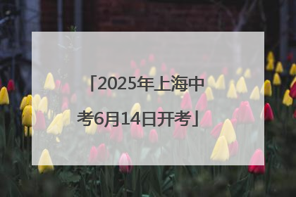 2025年上海中考6月14日开考