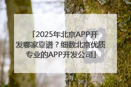 2025年北京APP开发哪家靠谱？细数北京优质专业的APP开发公司
