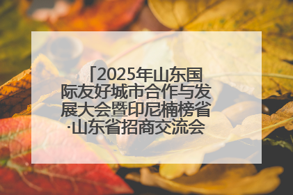 2025年山东国际友好城市合作与发展大会暨印尼楠榜省·山东省招商交流会在济南槐荫举行