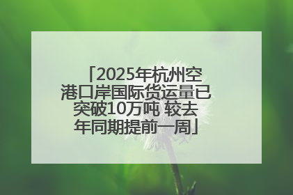 2025年杭州空港口岸国际货运量已突破10万吨 较去年同期提前一周