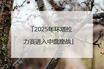 2025年环塔拉力赛进入中盘鏖战