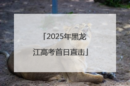 2025年黑龙江高考首日直击