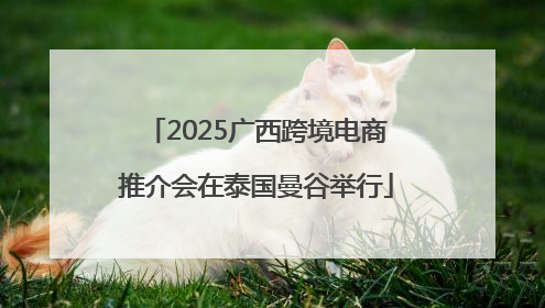 2025广西跨境电商推介会在泰国曼谷举行