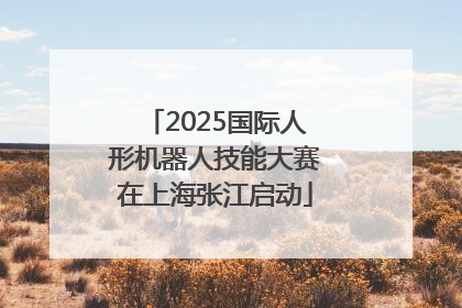 2025国际人形机器人技能大赛在上海张江启动