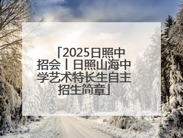 2025日照中招会丨日照山海中学艺术特长生自主招生简章