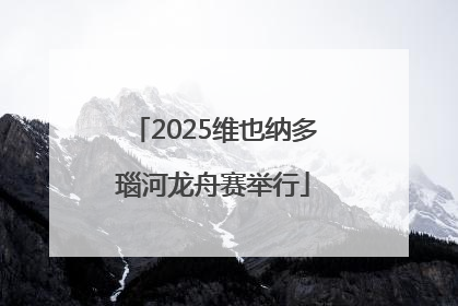2025维也纳多瑙河龙舟赛举行