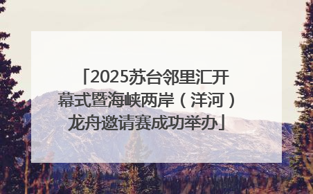 2025苏台邻里汇开幕式暨海峡两岸（洋河）龙舟邀请赛成功举办