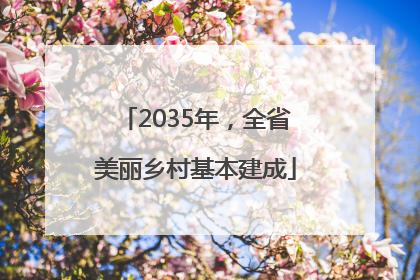 2035年，全省美丽乡村基本建成