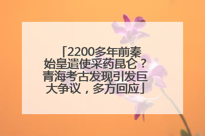 2200多年前秦始皇遣使采药昆仑？青海考古发现引发巨大争议，多方回应