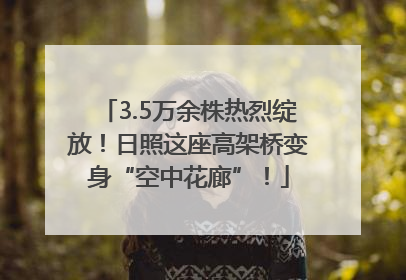 3.5万余株热烈绽放！日照这座高架桥变身“空中花廊”！