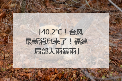 40.2℃！台风最新消息来了！福建局部大雨暴雨