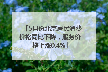 5月份北京居民消费价格同比下降，服务价格上涨0.4%