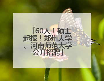 60人！硕士起报！郑州大学、河南师范大学公开招聘