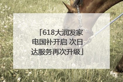 618大润发家电国补开启 次日达服务再次升级