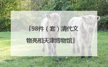 98件（套）清代文物亮相天津博物馆