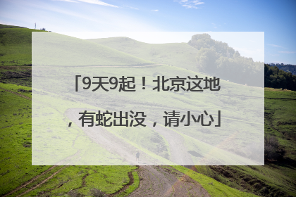 9天9起！北京这地，有蛇出没，请小心