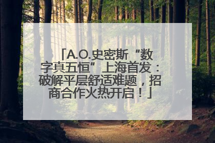 A.O.史密斯“数字真五恒”上海首发：破解平层舒适难题，招商合作火热开启！