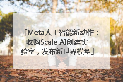 Meta人工智能新动作：收购Scale AI创建实验室，发布新世界模型