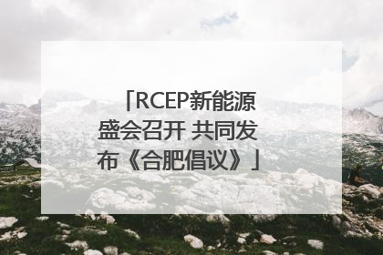 RCEP新能源盛会召开 共同发布《合肥倡议》